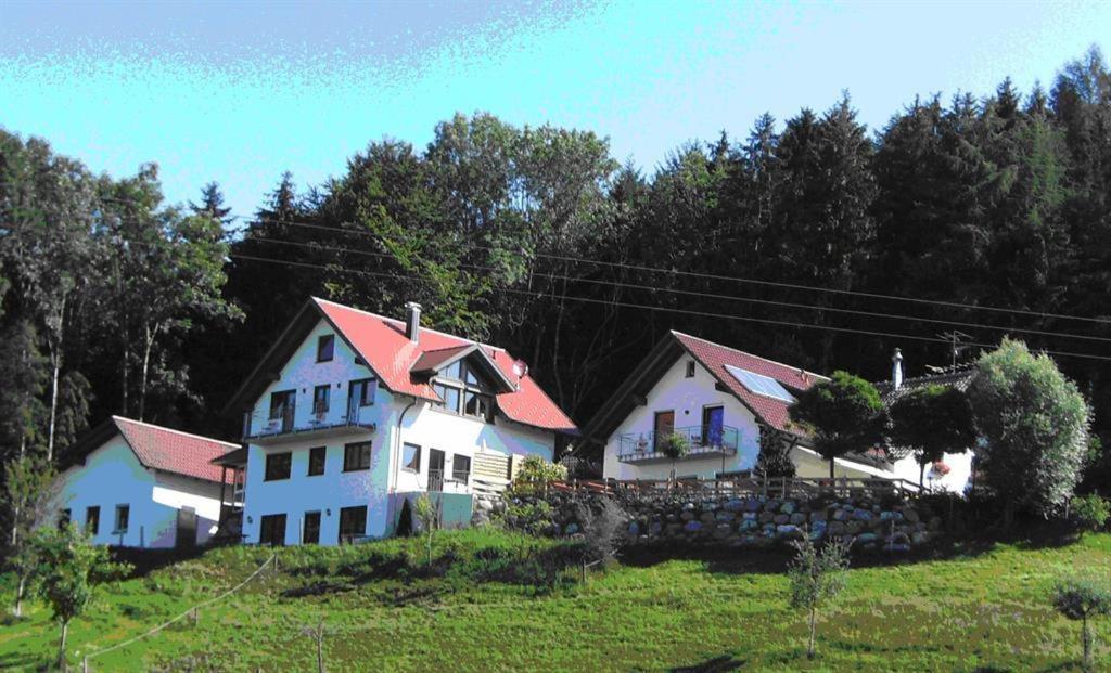 Gasthof Gruener Baum "Kongo" Amtzell Exteriör bild