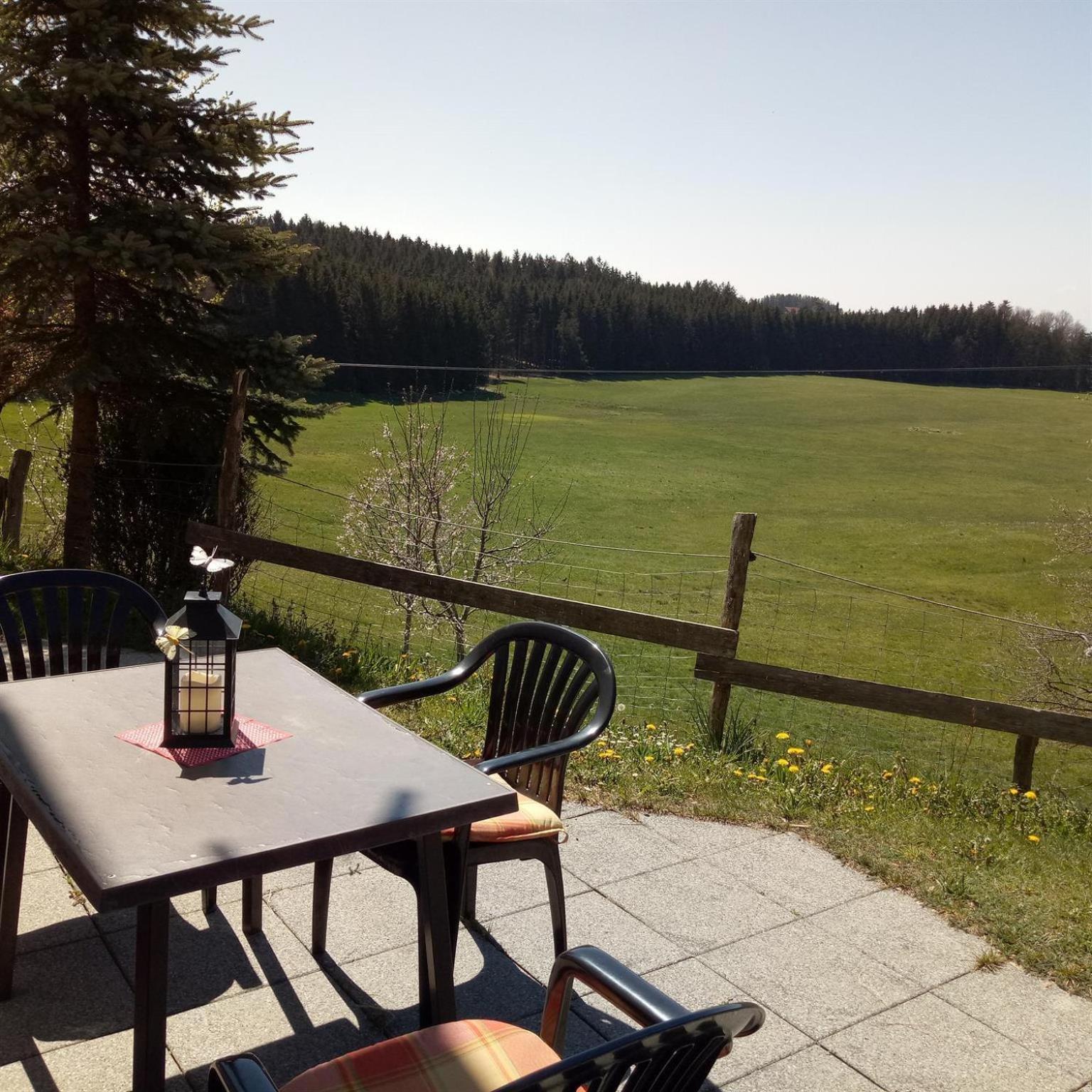 Gasthof Gruener Baum "Kongo" Amtzell Rum bild