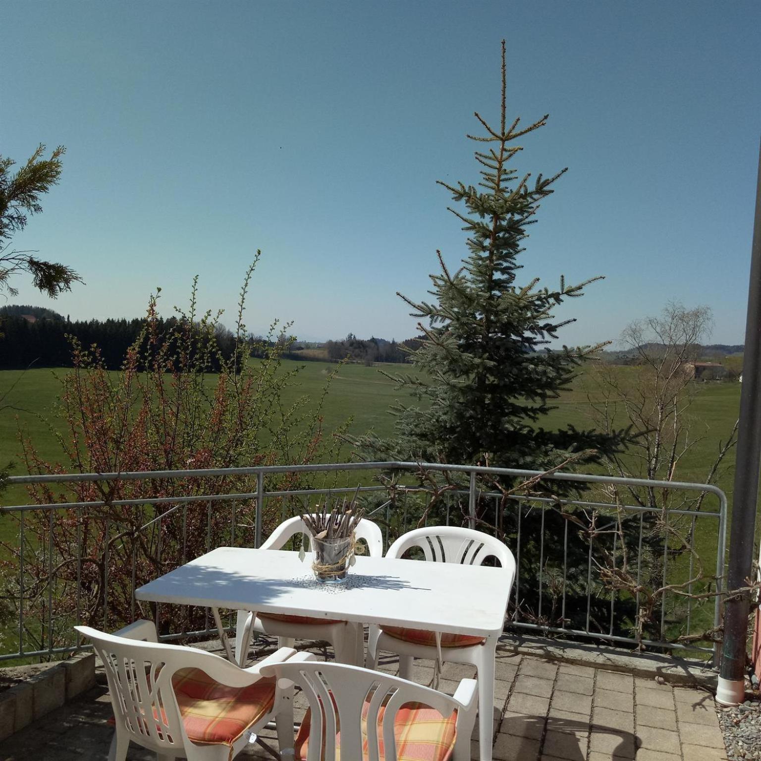 Gasthof Gruener Baum "Kongo" Amtzell Rum bild